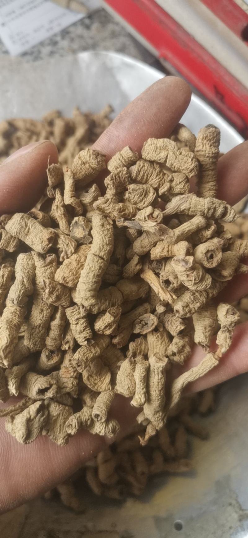 批发中药材巴戟巴戟天巴戟肉批发各种中药材量大从优