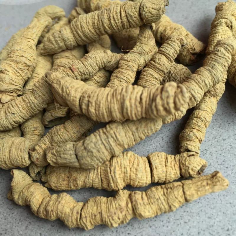 批发中药材巴戟巴戟天巴戟肉批发各种中药材量大从优