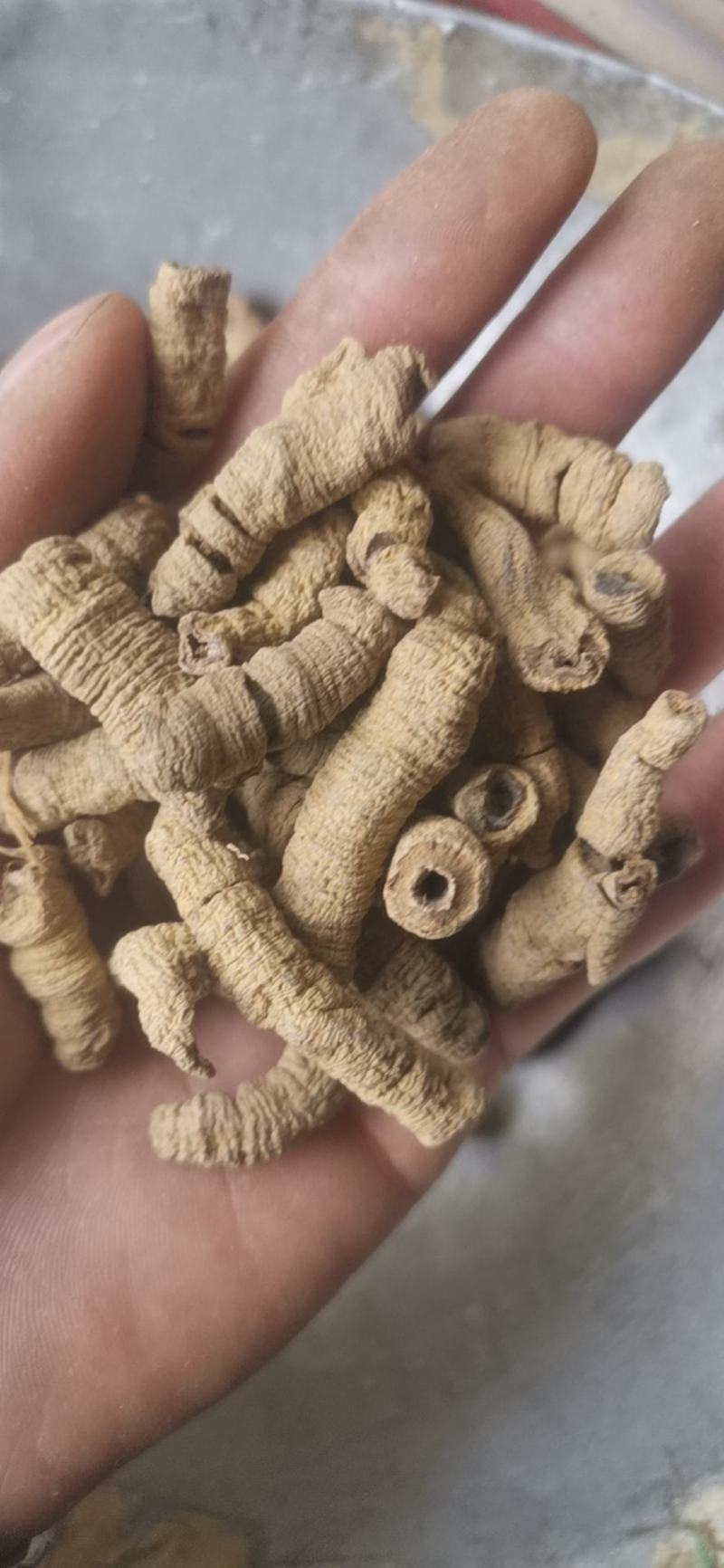批发中药材巴戟巴戟天巴戟肉批发各种中药材量大从优