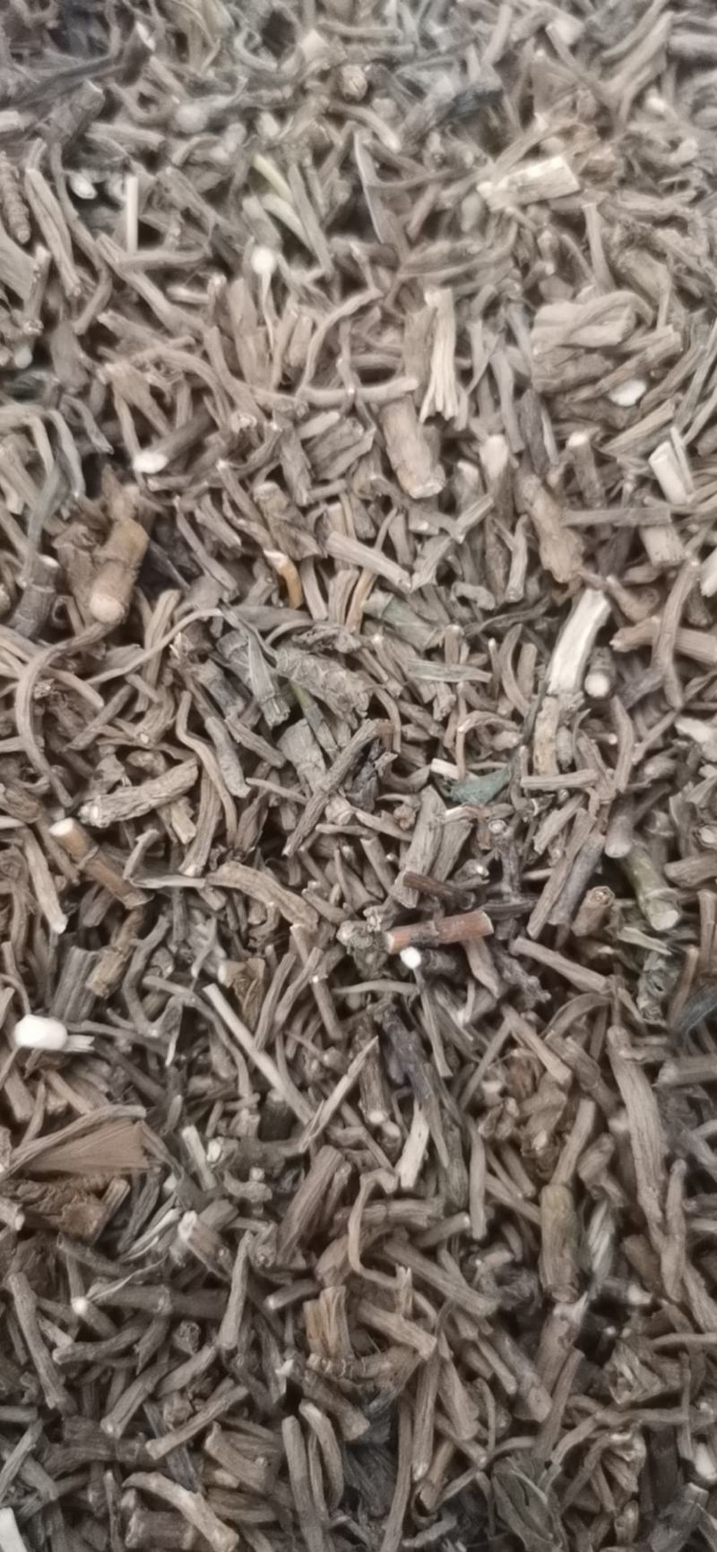 批发中药材柴胡藏柴胡甘肃柴胡批发各种中药材量大从优