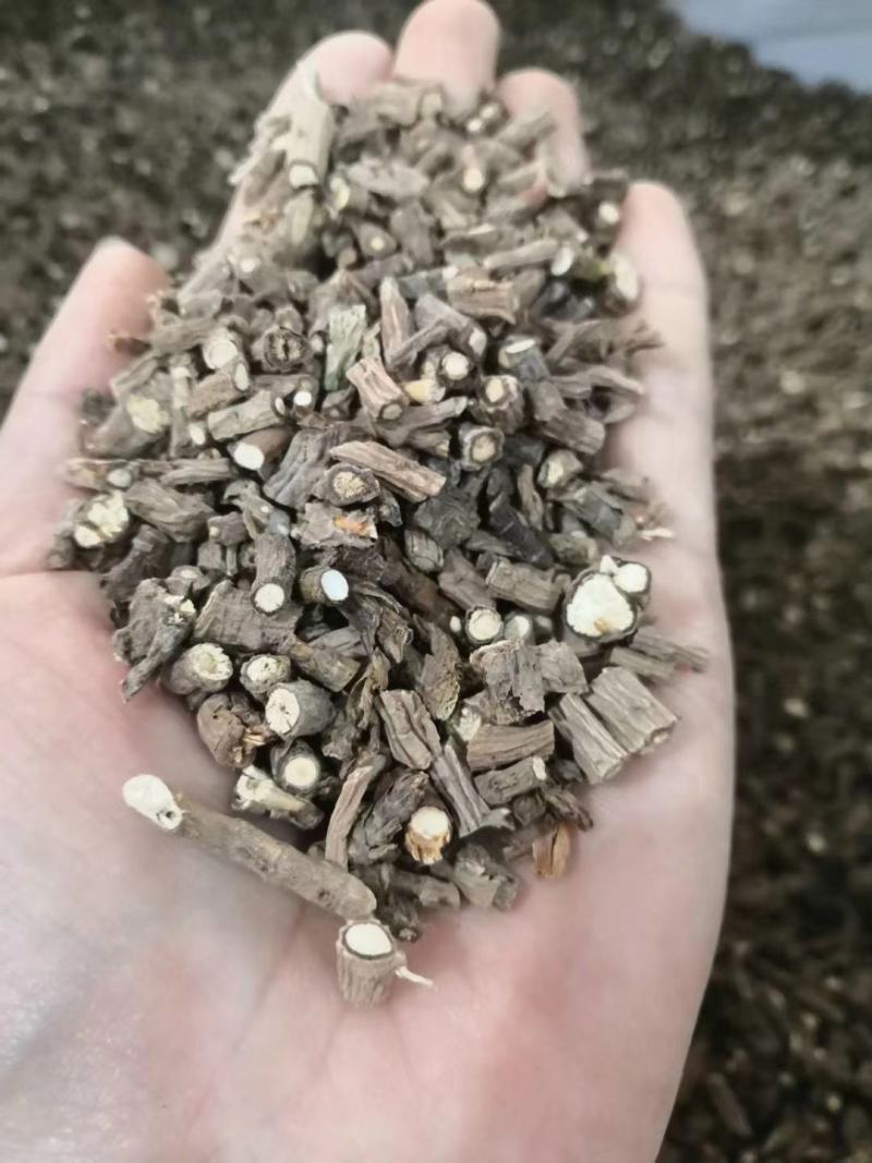 批发中药材柴胡藏柴胡甘肃柴胡批发各种中药材量大从优