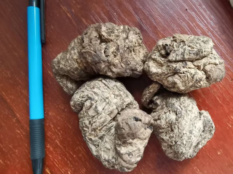 生地圆身个一级质量实体百万销量售后无忧
