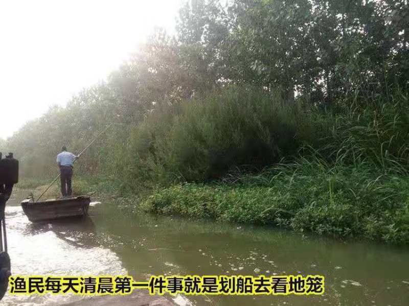 油炸泥鳅鱼干去内脏农家自制原味小泥鳅干货即食休闲小吃包邮