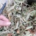 仙鹤草片，野生，深山药村。欢迎下单一手货源！。
