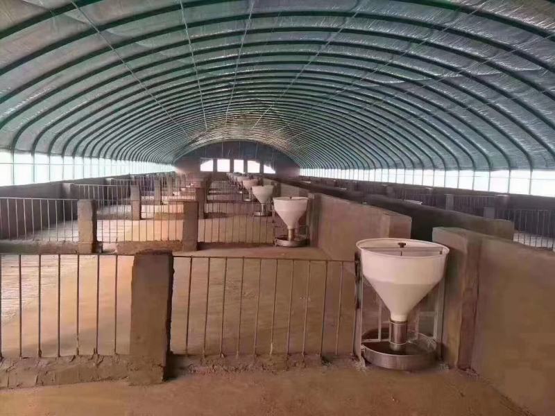 养殖大棚镀锌钢管厂家直销定制各种规格尺寸