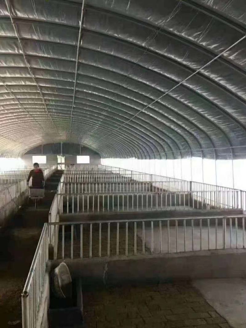 养殖大棚镀锌钢管厂家直销定制各种规格尺寸