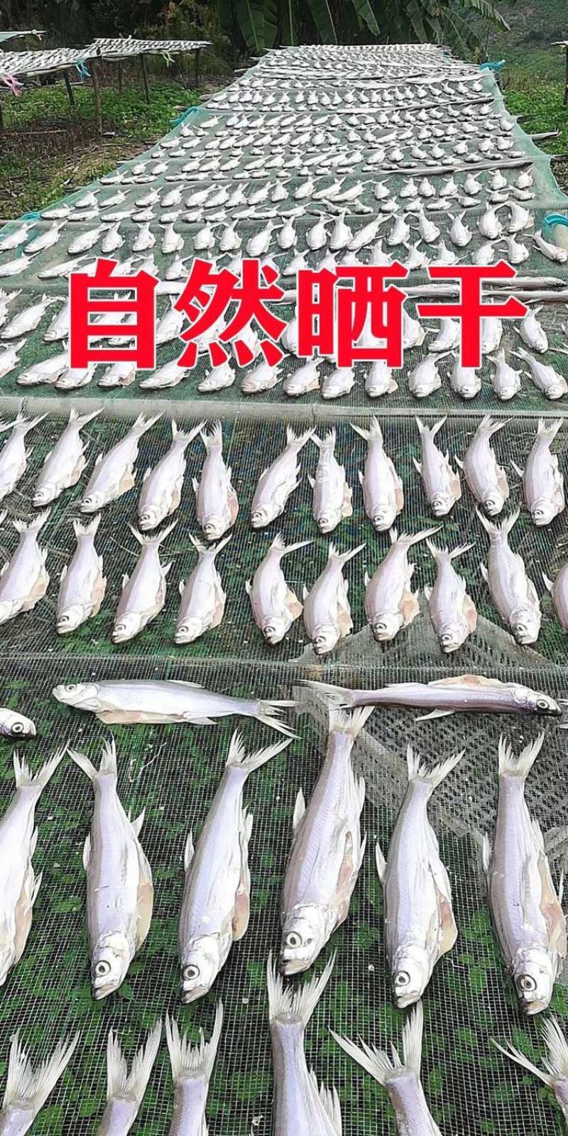 湖南小鱼干干货农家自晒翘嘴鱼干淡水河鱼干翘嘴鲌鱼干包邮