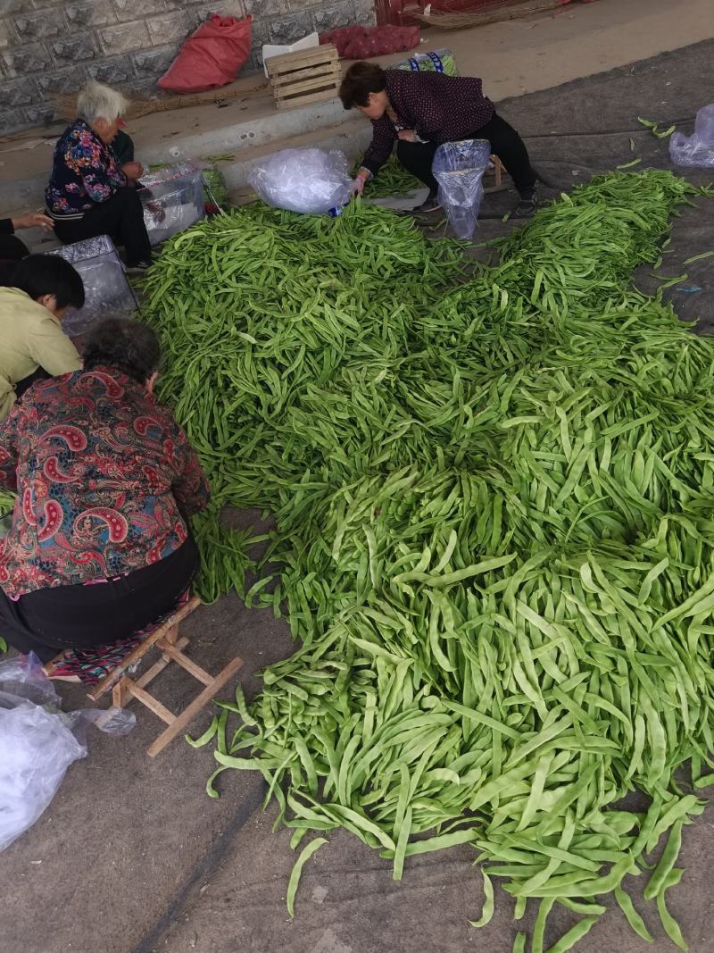 山东省聊城市莘县蔬菜产地供应