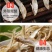 【产地】【一件代发】毛刀鱼干毛花鱼干小鱼干咸鱼干包邮