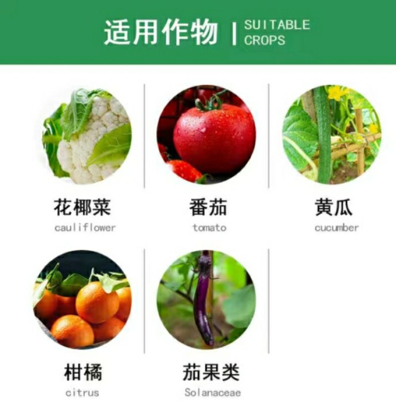 噻虫吡蚜酮70%治飞虱蚜虫粉虱叶蝉等刺吸式口器害虫。