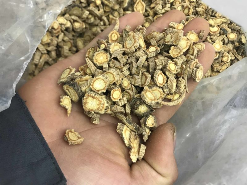 防风无硫防风防风片干净无杂质产地直销