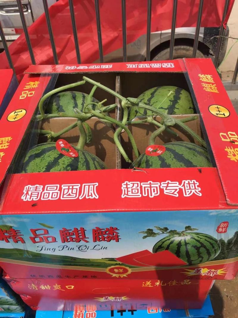 河南西瓜，美嘟西瓜，开封通许西瓜，通许西瓜