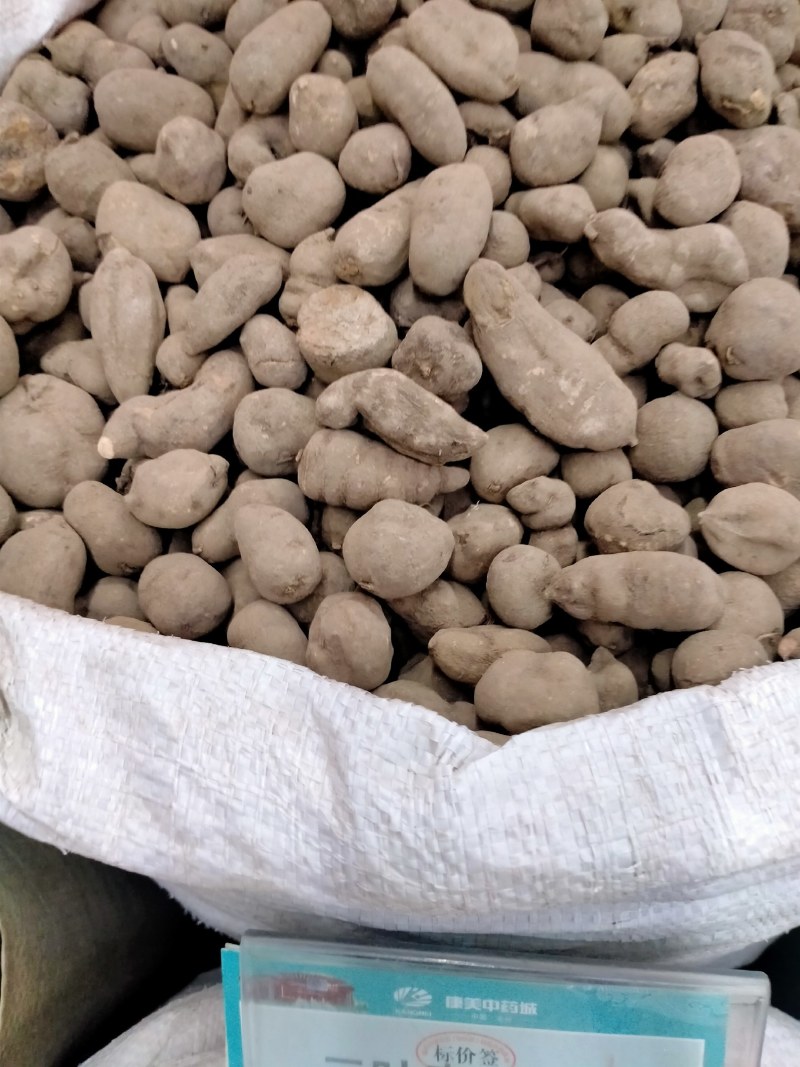 三叶青优质三叶青！大货批发产地直销价格优！