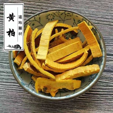 黄柏中药材精选特级去皮黄柏野生川黄柏正品黄柏丝黄