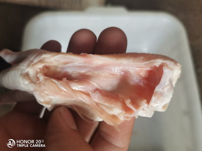 脱骨鸡爪，脱骨鸭掌，价格低，质量好，工厂直销