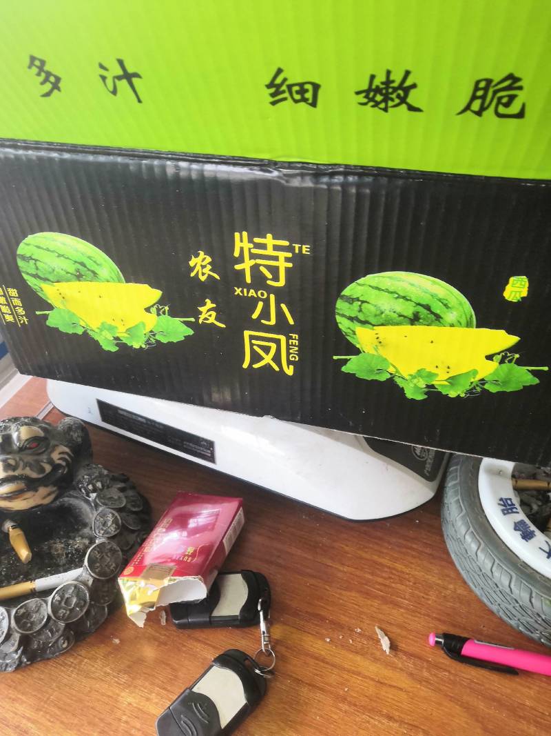 江苏特小凤西瓜现摘现发果型好瓤红瓜甜货源充足支持视频看货