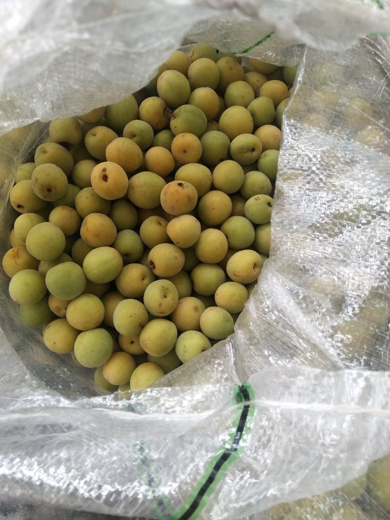酸梅果(实力代办)