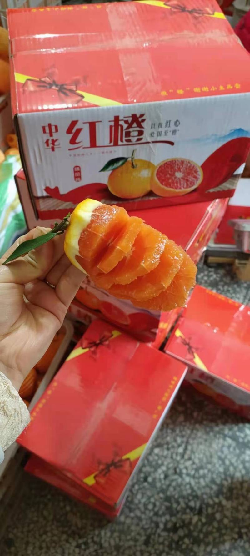 中华红血橙超甜化渣果肉细腻一手货源对接电商各种平台为主