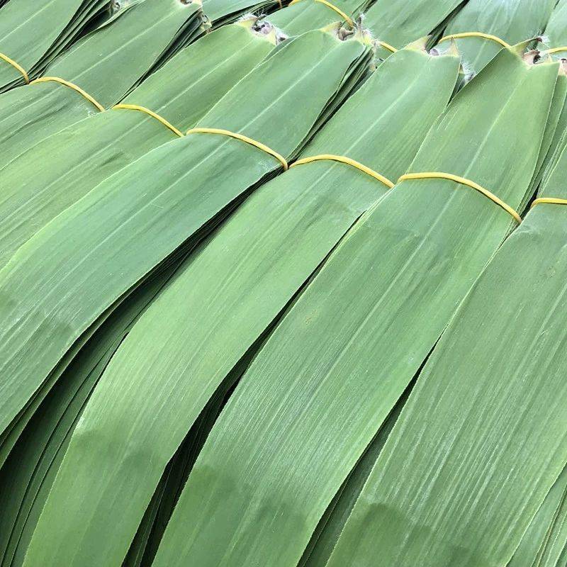 新鲜粽叶芦苇叶批发湖南安徽江苏粽叶供应欢迎询价