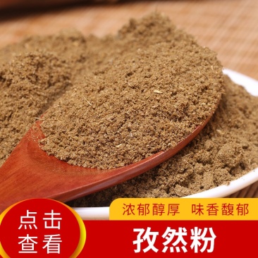 散装批发孜然粉，现磨烧烤料