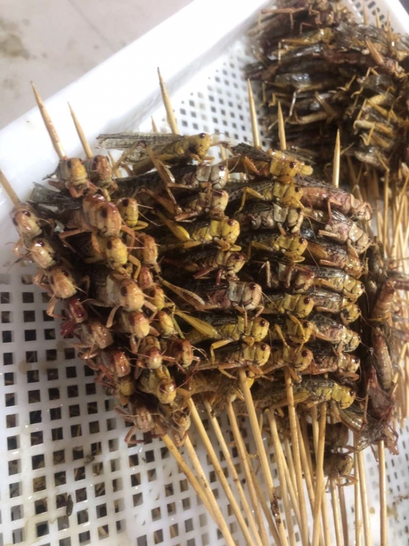 烧烤蚂蚱串