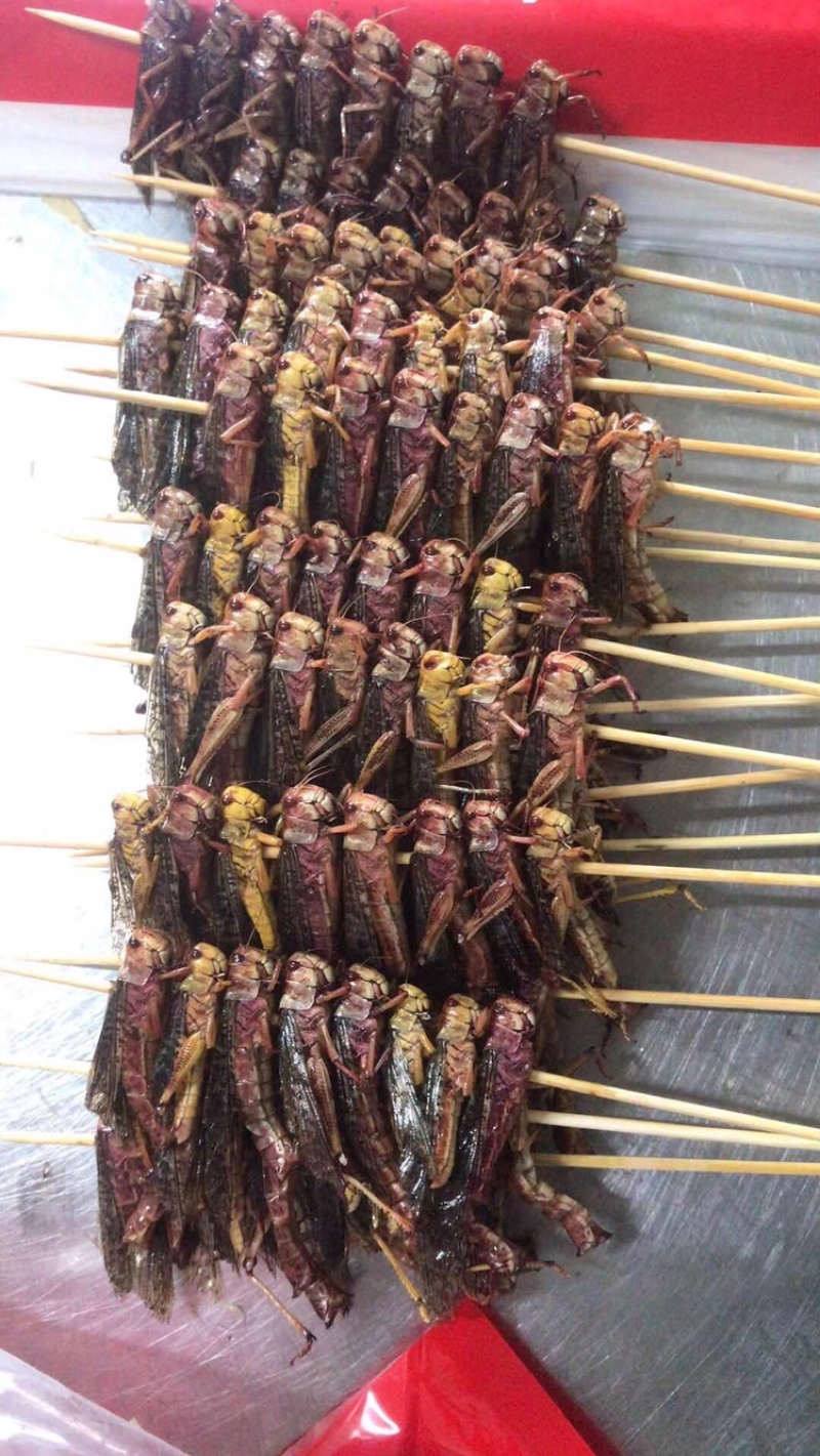 烧烤蚂蚱串