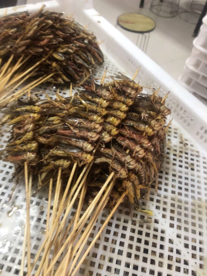 烧烤蚂蚱串