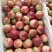 518露天油桃大量油桃逐步上市需要的客商抓紧联系