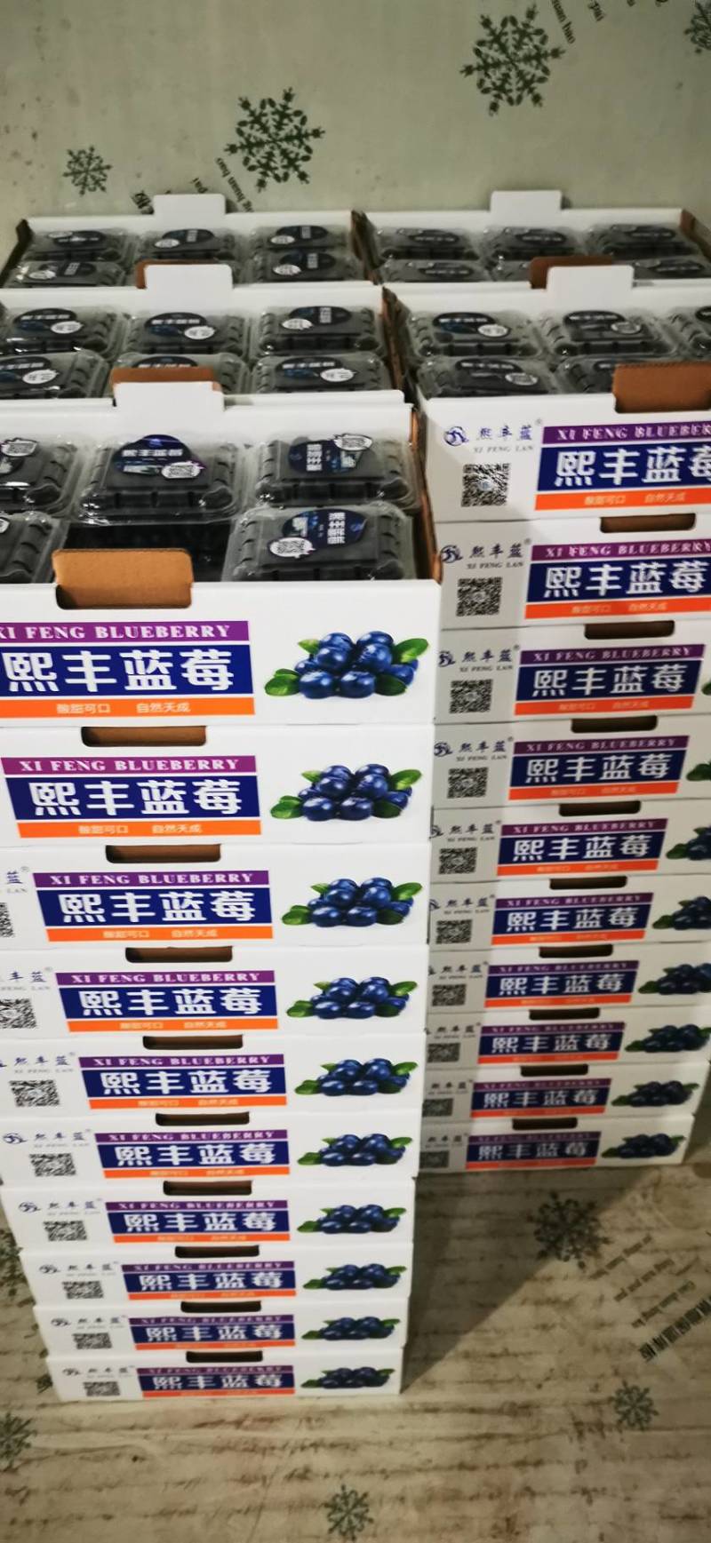 熙丰蓝莓