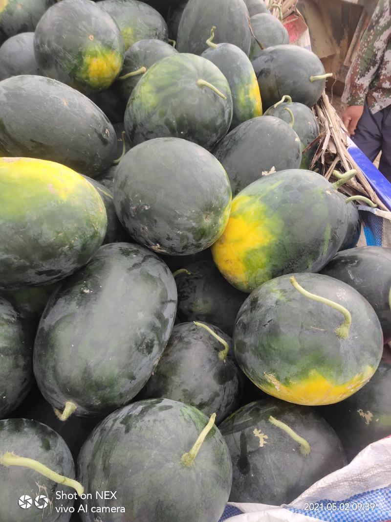 西瓜