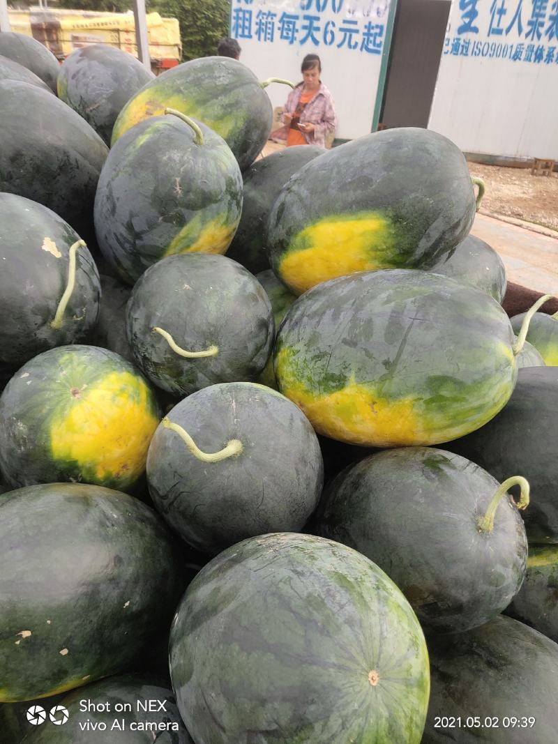 西瓜