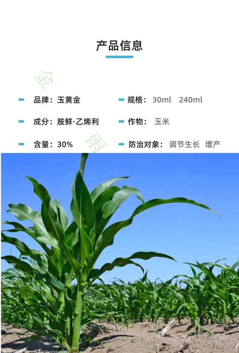 侨昌胺鲜酯乙烯利控旺不突尖抗倒伏节间短增产生长调节剂