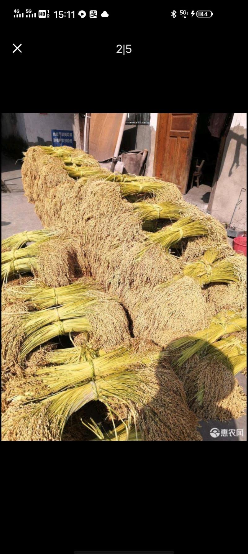 糯米稻草