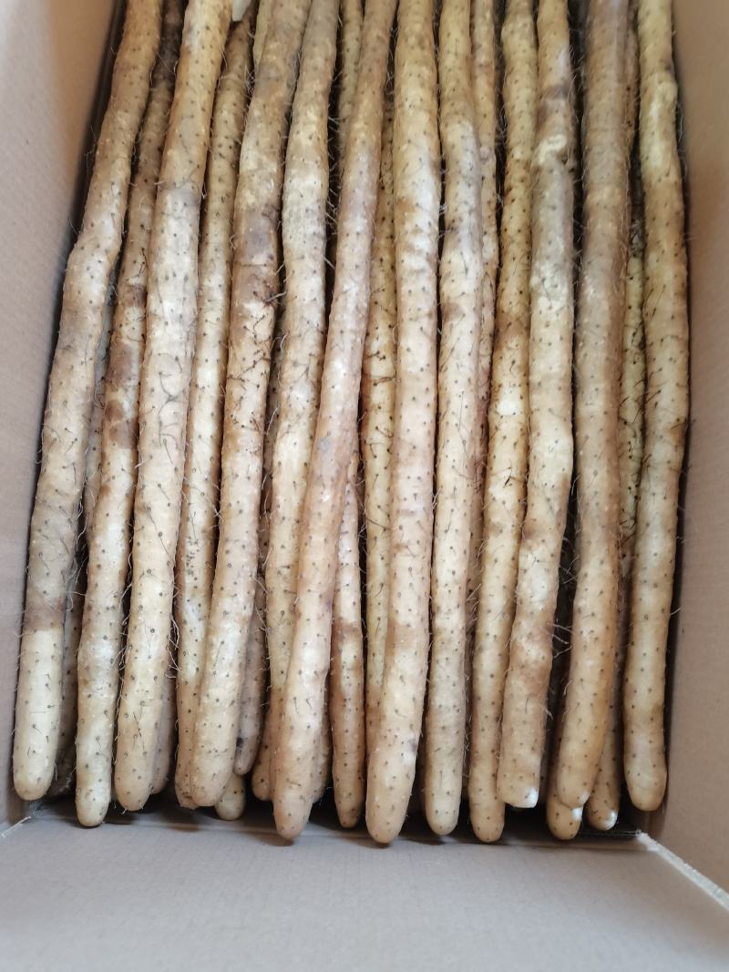 40以上的小白嘴山药箱货，基地直发，量大从优。