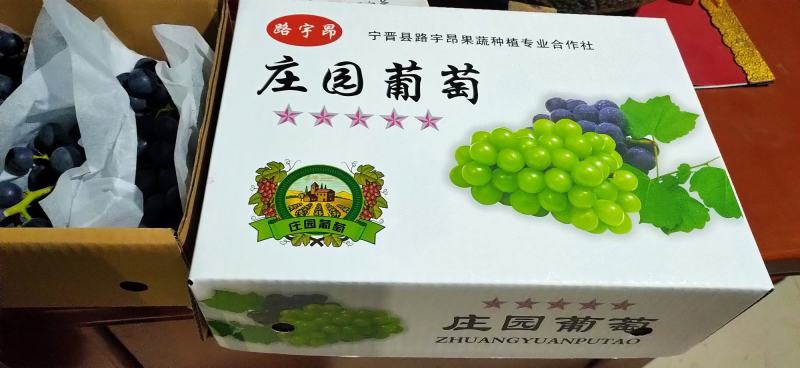 新鲜夏黑葡萄