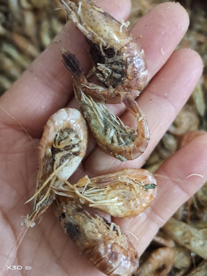 渤海湾籽虾草虾，深海里的味道鲜美油炸麻辣虾食材一手货源