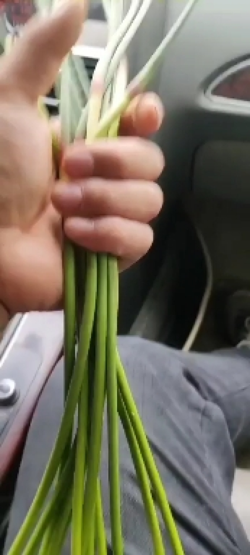 鲜蒜上市，带苗大蒜，扒皮大蒜，个大色红，畅销全国
