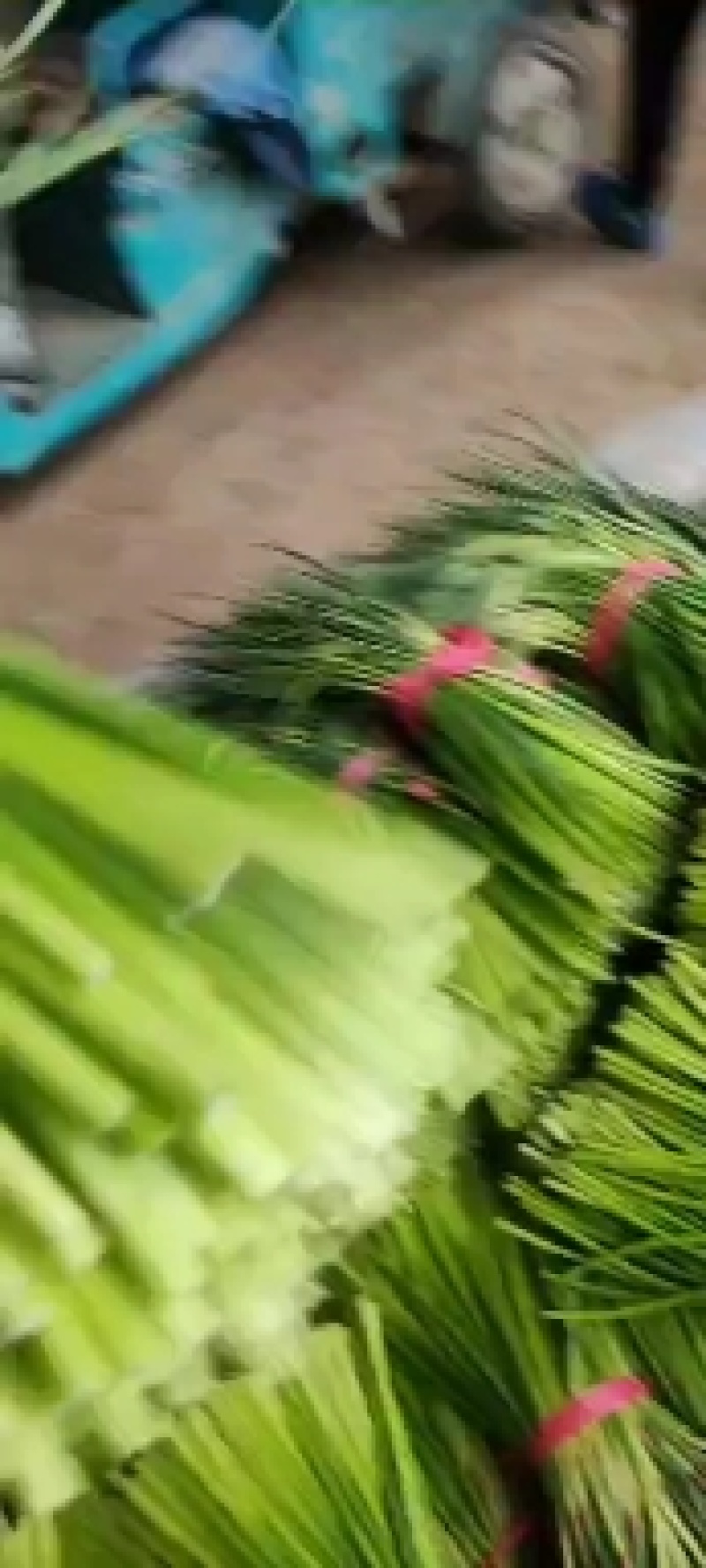 鲜蒜上市，带苗大蒜，扒皮大蒜，个大色红，畅销全国