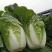 黄心大白菜玲珑黄大白菜大量新鲜上市黄心大白菜