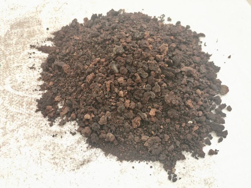 血粉羊血粉