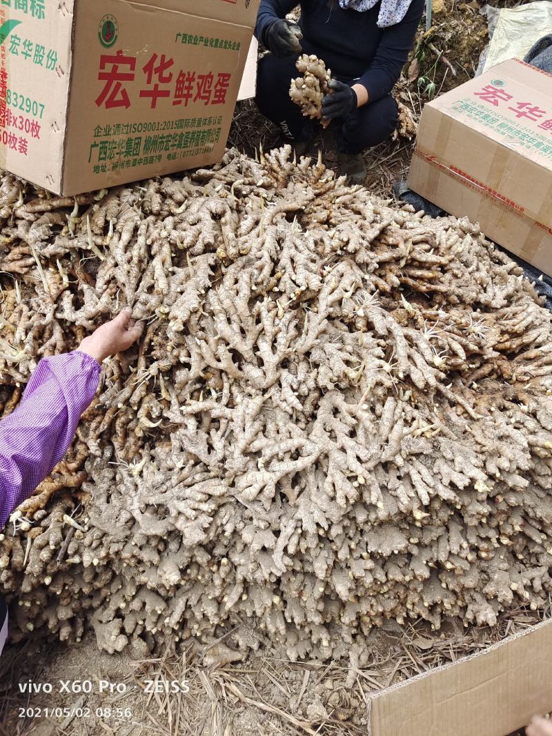火姜