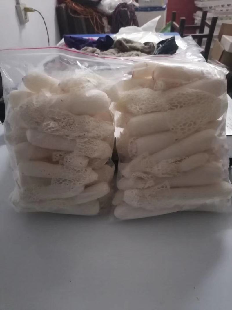 鲜竹荪，刚出土的，决对新鲜。