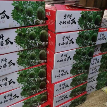 大量供应吊挂，爬瓜全美2k保熟保甜生瓜退换，沙瓤脆甜
