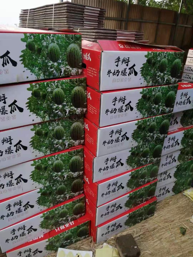 大量供应吊挂，爬瓜全美2k保熟保甜生瓜退换，沙瓤脆甜