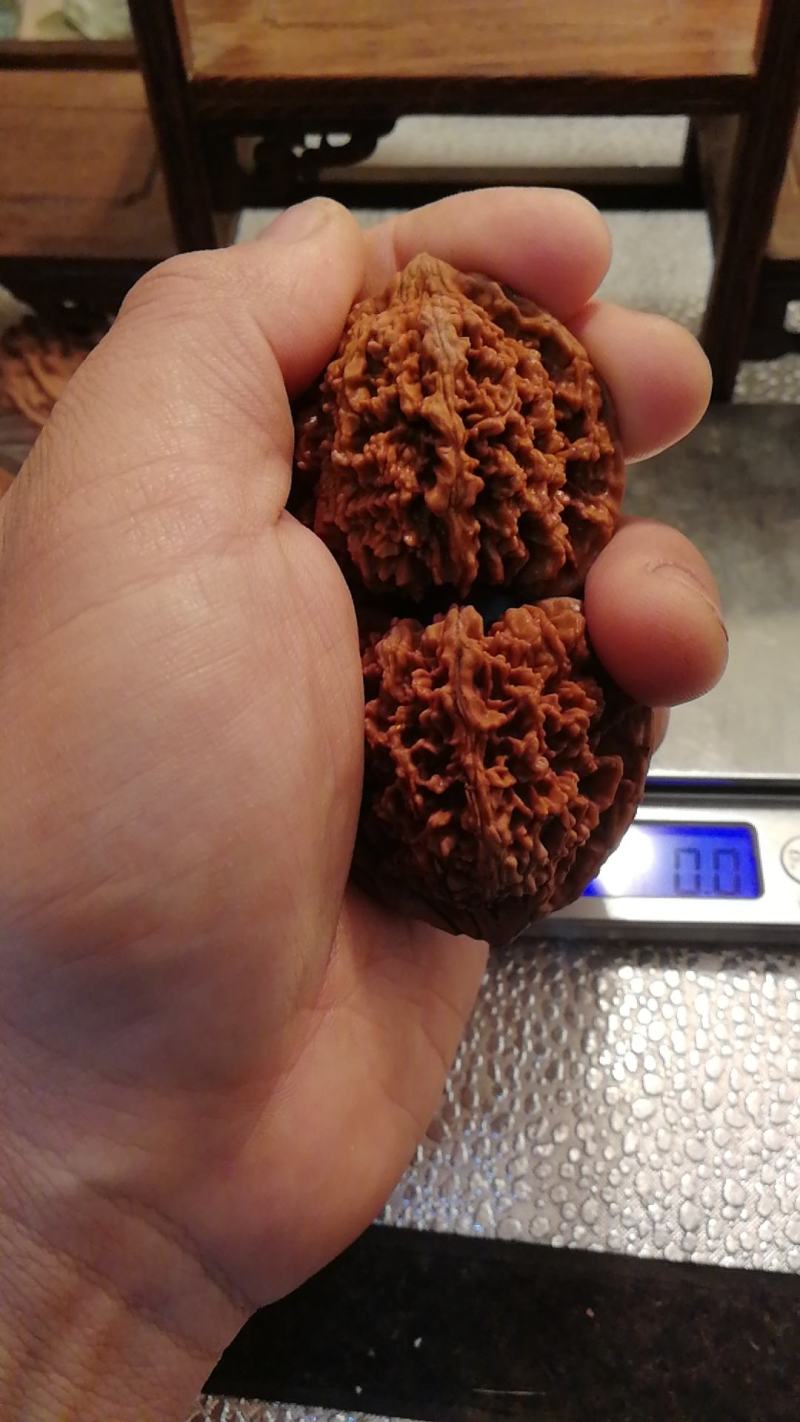 满天星狮子头