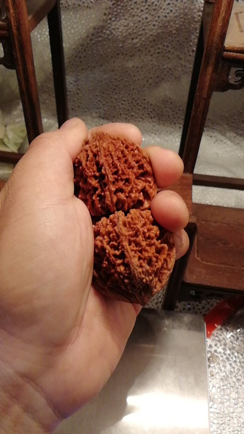 满天星狮子头