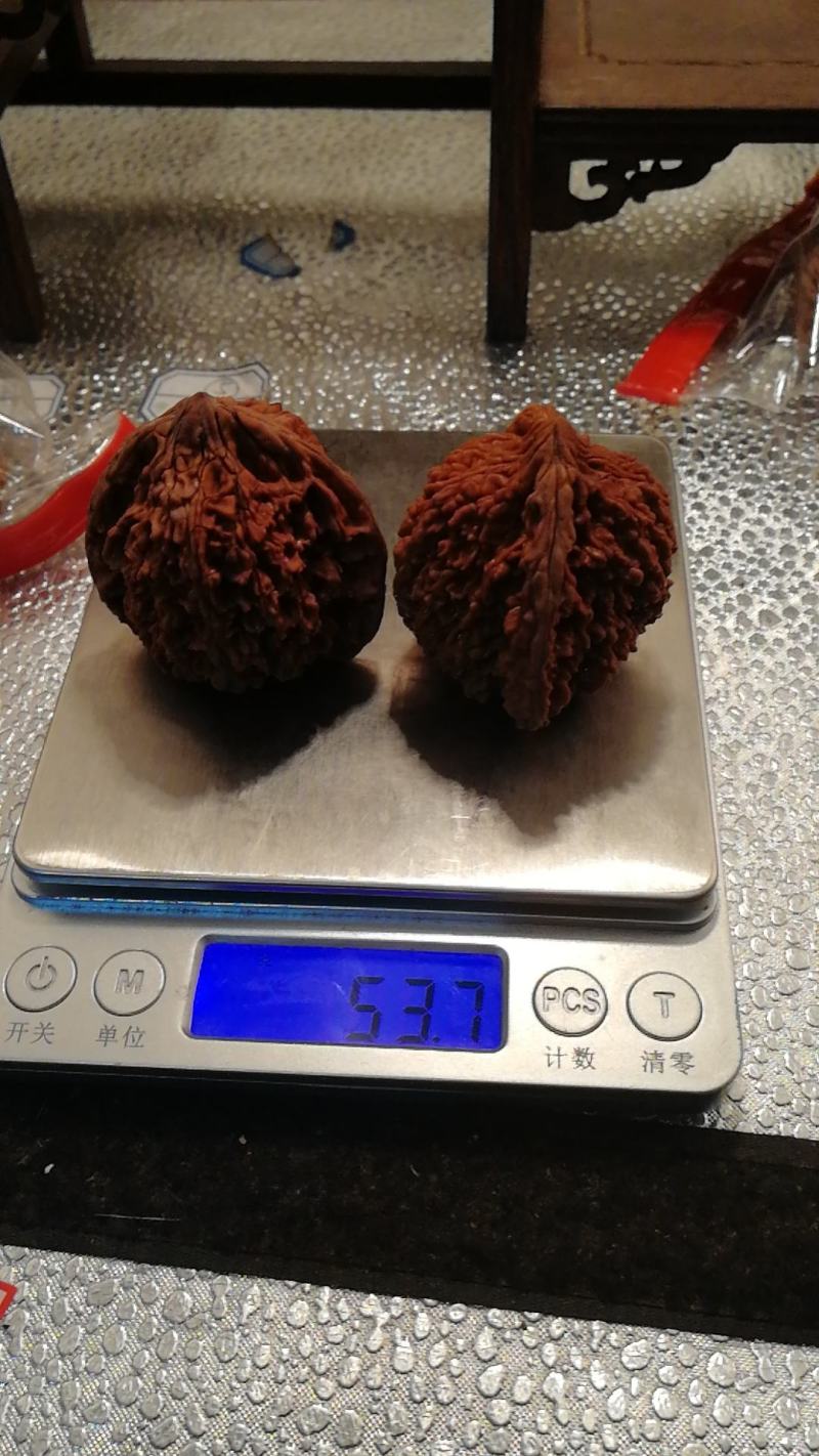 满天星狮子头