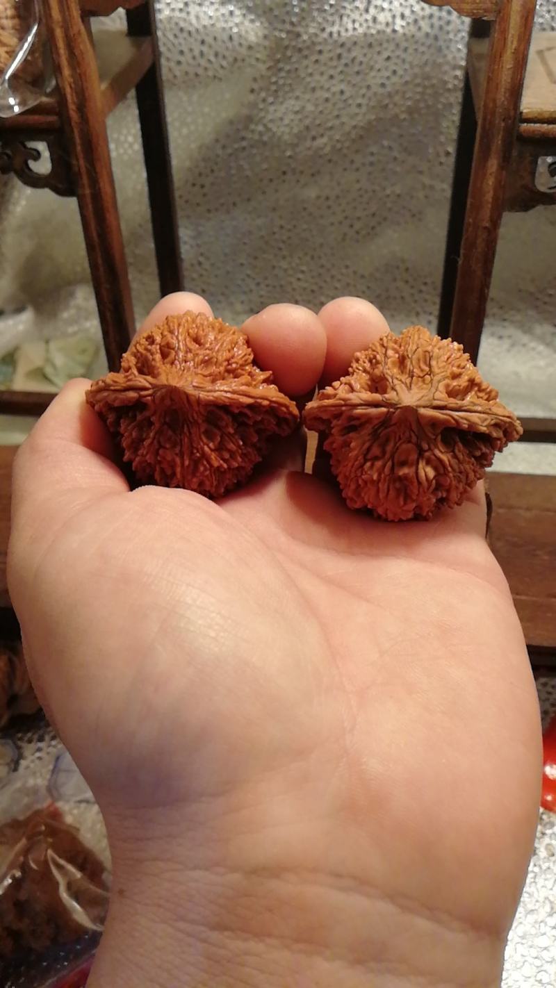 满天星狮子头