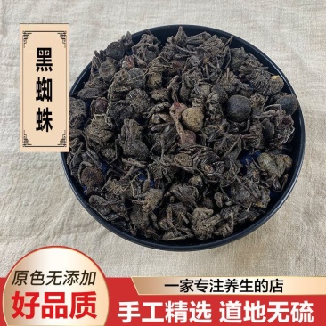 黑蜘蛛中药材大蜘蛛药用蜘蛛包邮