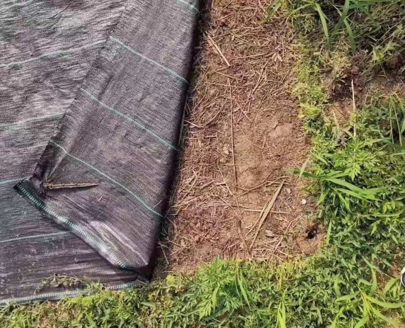防草布厂家，除草布厂家。盖草布一亩地多少钱